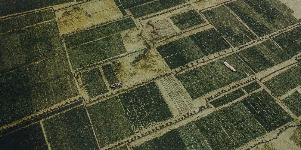 Wall Art Viewer Frames Render