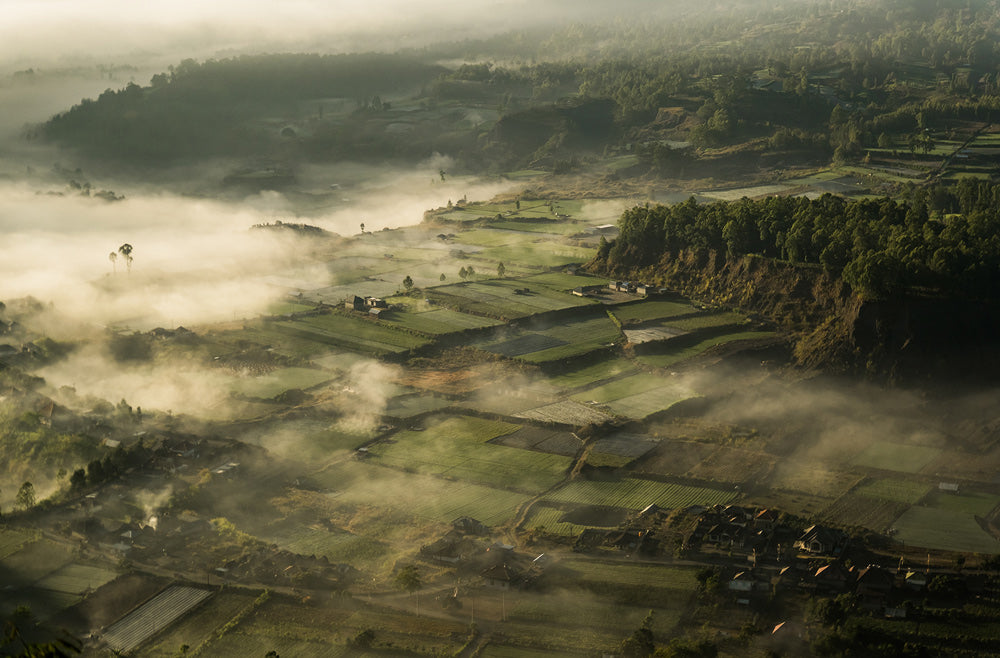 Wall Art Viewer Frames Render