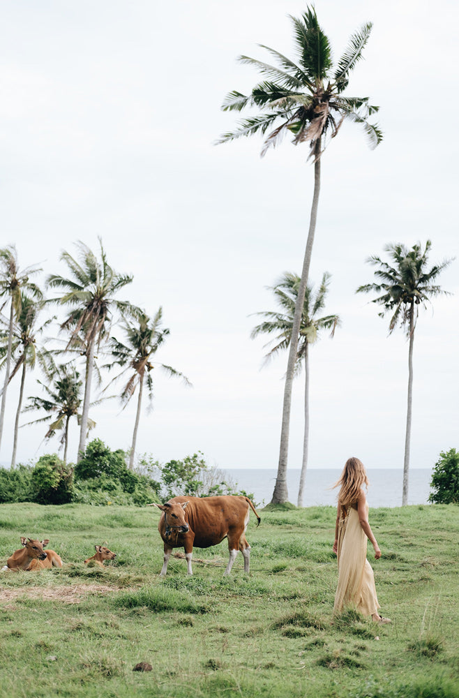 Wall Art Viewer Frames Render