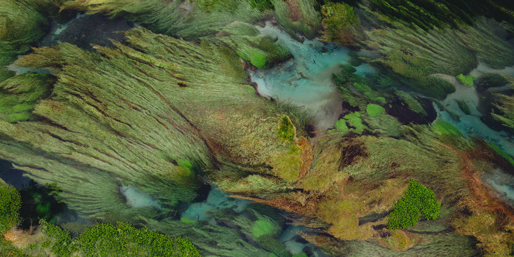 Wall Art Viewer Frames Render