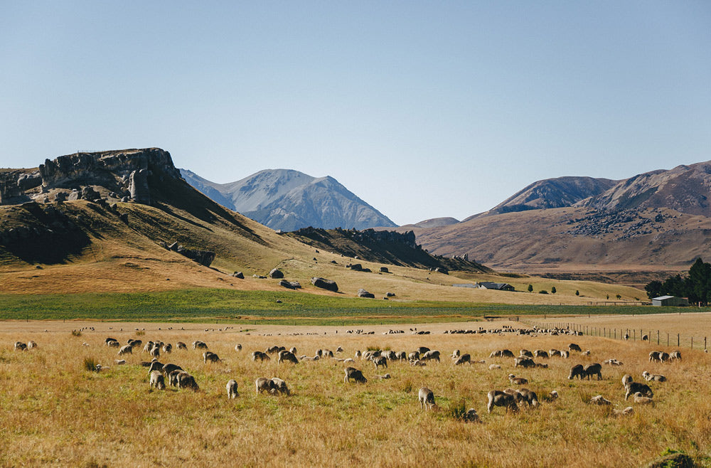 Wall Art Viewer Frames Render