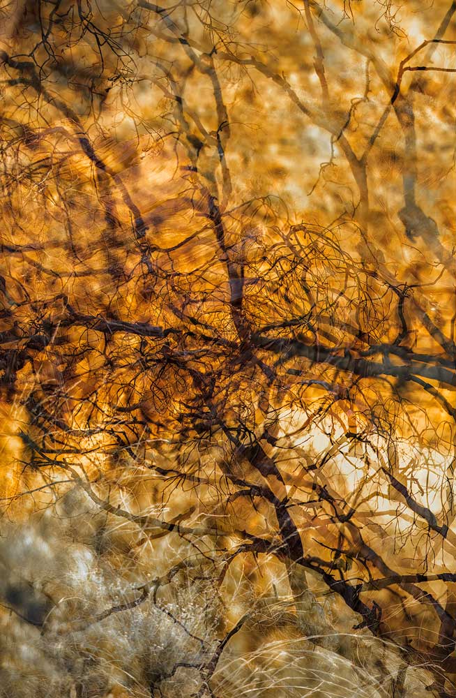 Wall Art Viewer Frames Render