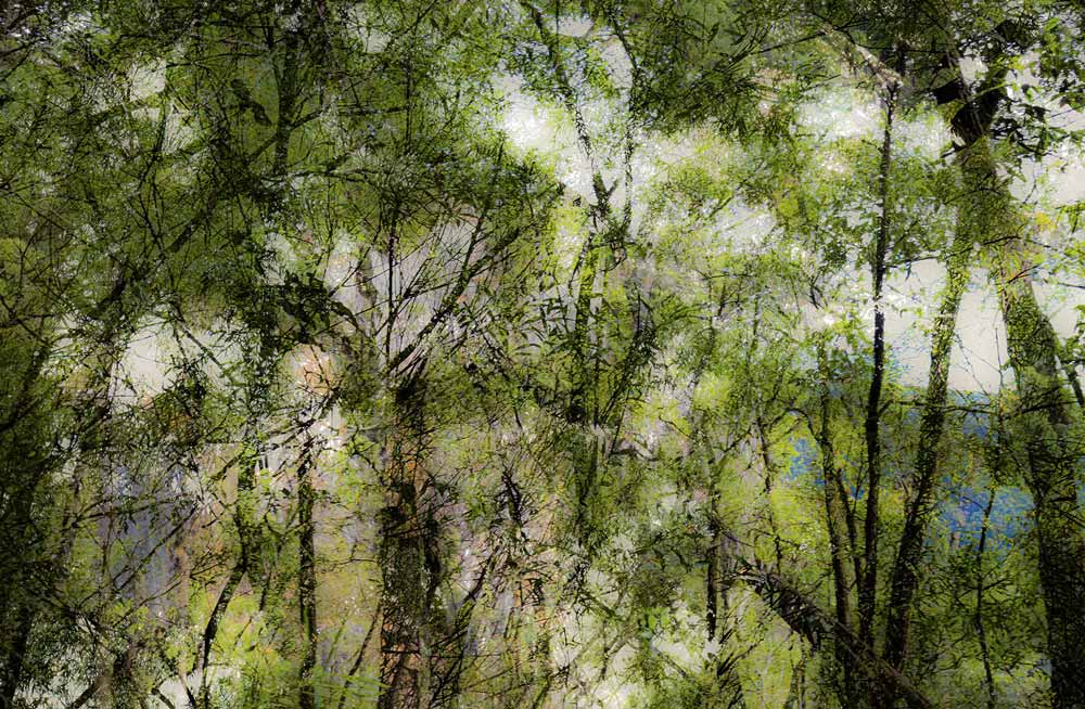 Wall Art Viewer Frames Render