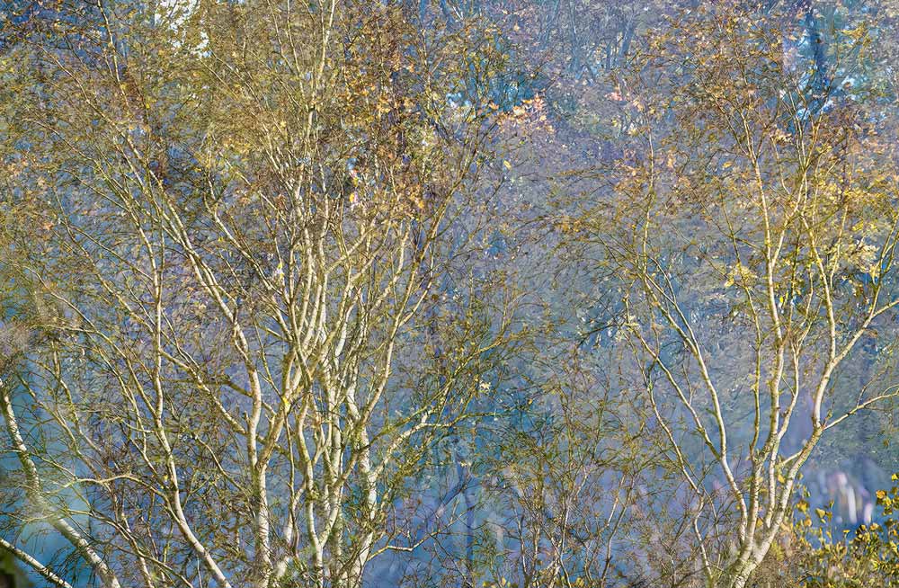 Wall Art Viewer Frames Render