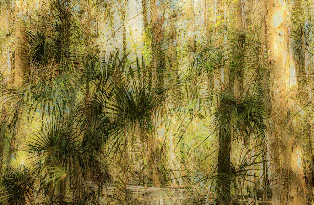 Wall Art Viewer Frames Render