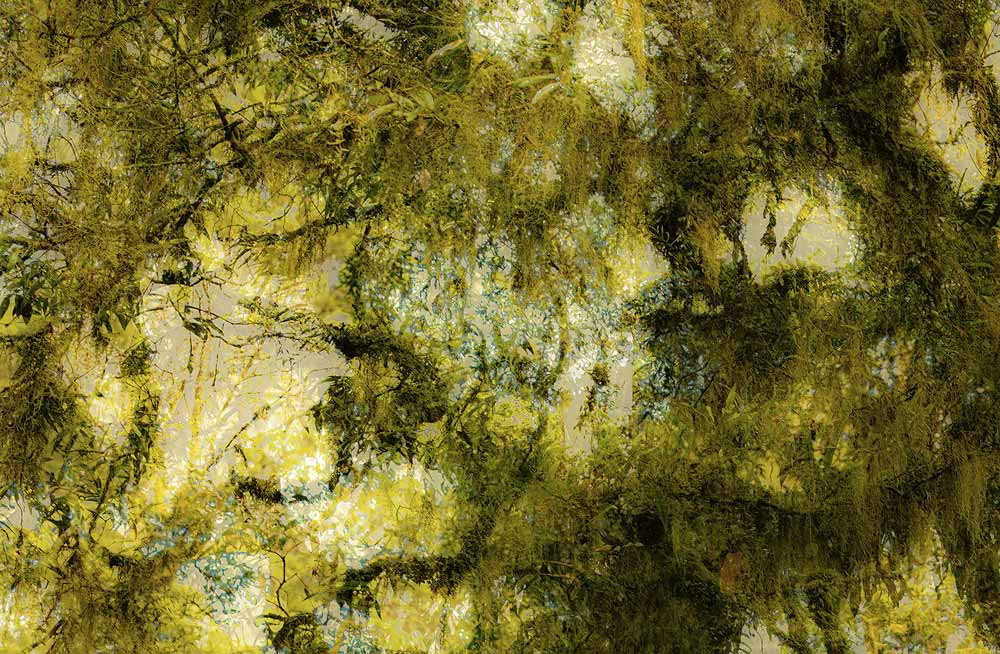 Wall Art Viewer Frames Render