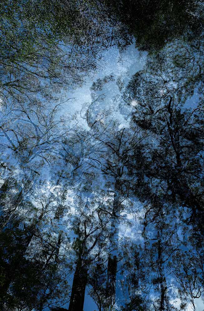 Wall Art Viewer Frames Render