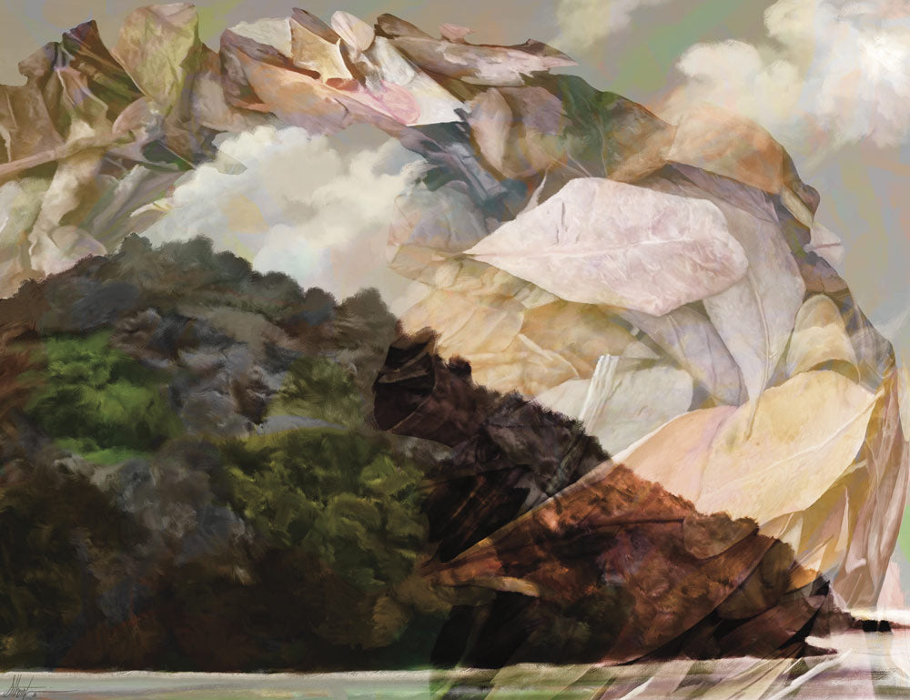 Wall Art Viewer Frames Render