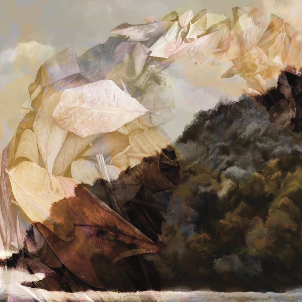 Wall Art Viewer Frames Render