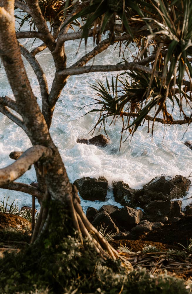 Wall Art Viewer Frames Render