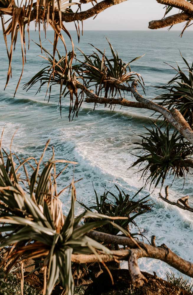 Wall Art Viewer Frames Render