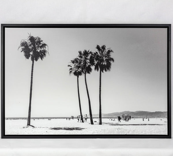Venice Beach Palm Trees - Clearance FRAMED