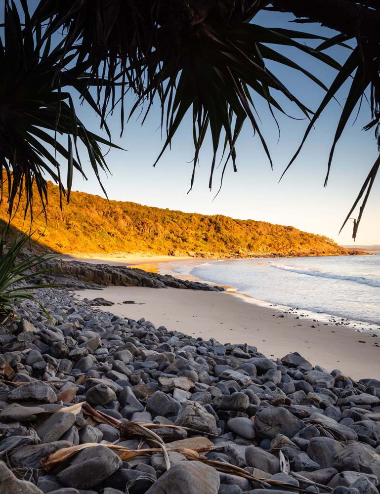 Wall Art Viewer Frames Render