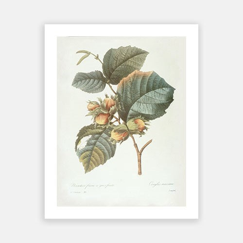 Wall Art Viewer Frames Render