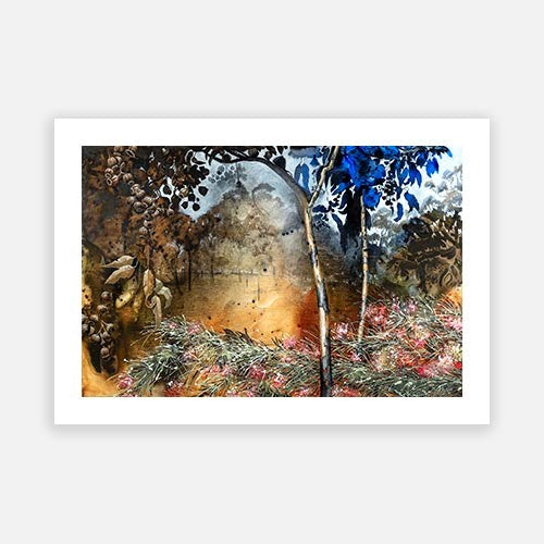 Kangaroo Valley & the Grevillea