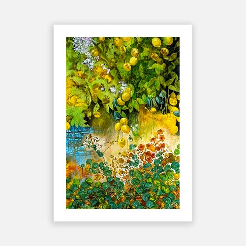 Lemon Love & the Nasturtiums 1