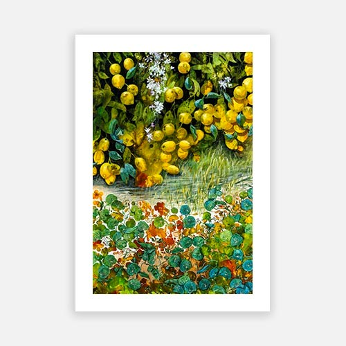 Lemon Love & the Nasturtiums 2