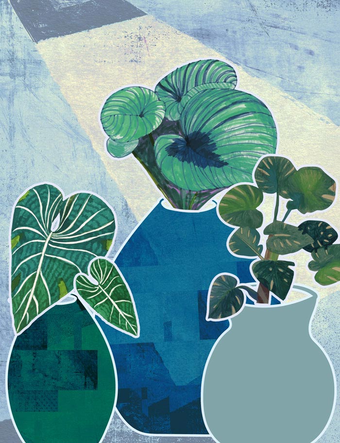 Wall Art Viewer Frames Render