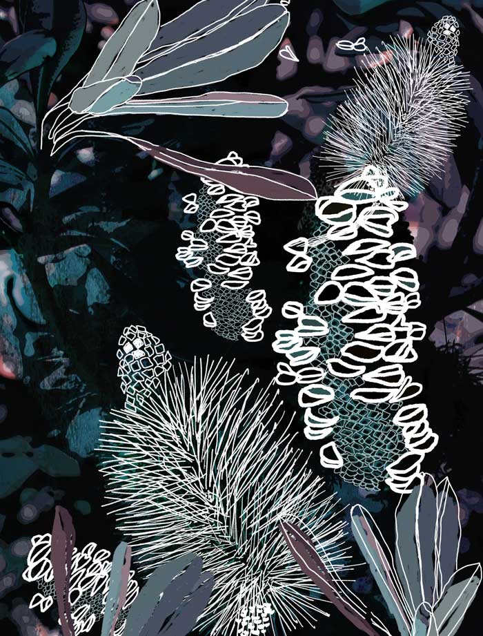 Wall Art Viewer Frames Render