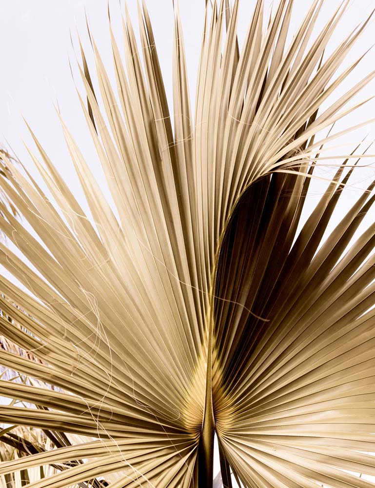 Wall Art Viewer Frames Render