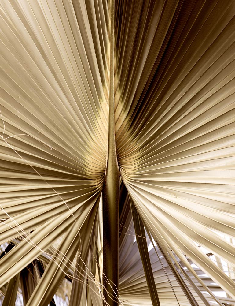 Wall Art Viewer Frames Render