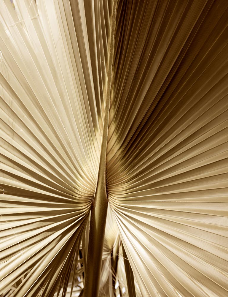 Wall Art Viewer Frames Render