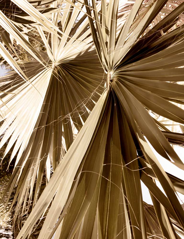 Wall Art Viewer Frames Render