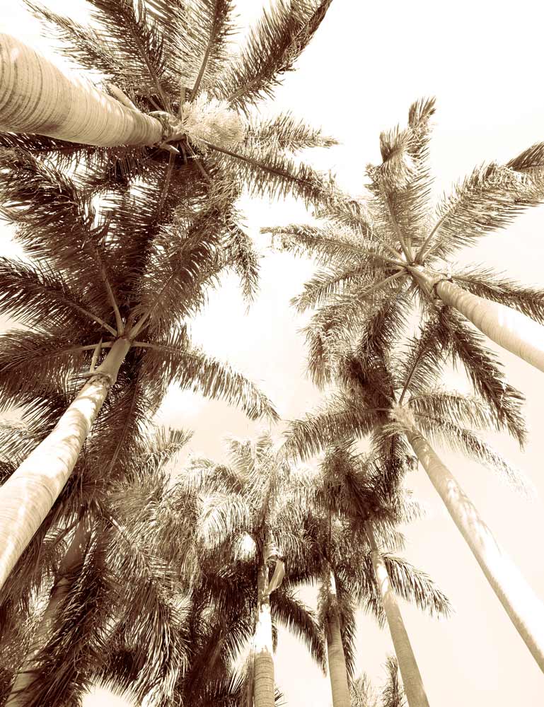 Wall Art Viewer Frames Render