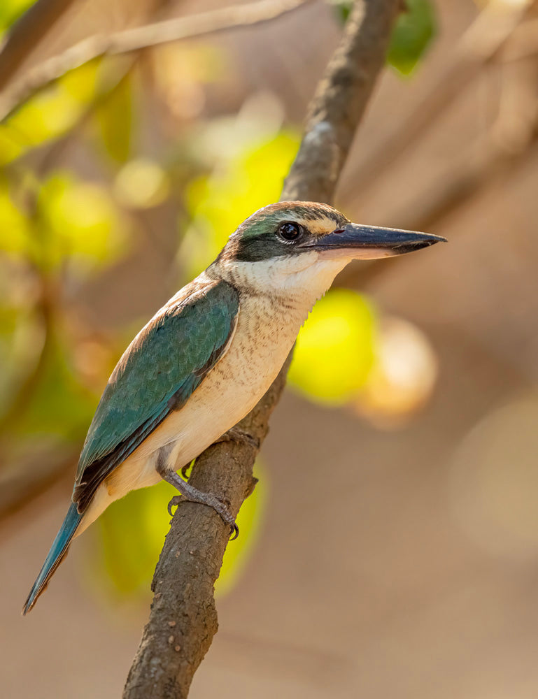 Wall Art Viewer Frames Render