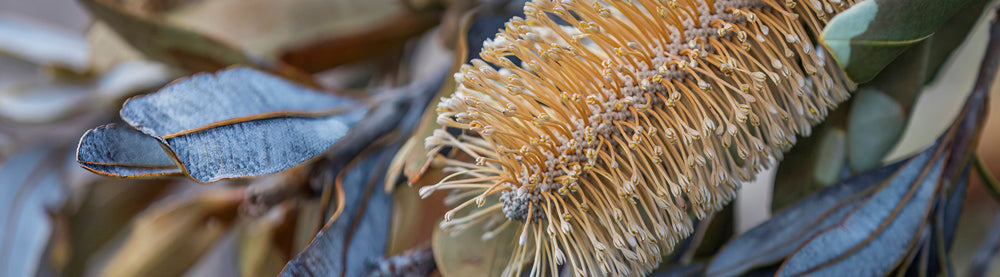 Wall Art Viewer Frames Render