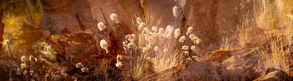 Wall Art Viewer Frames Render