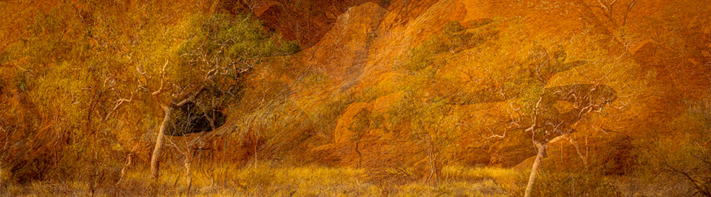 Wall Art Viewer Frames Render