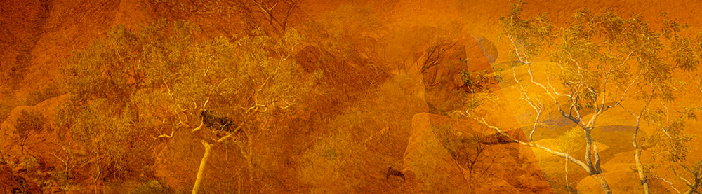 Wall Art Viewer Frames Render