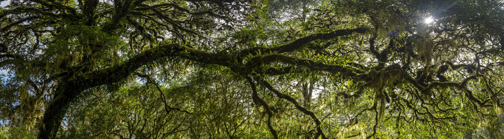 Wall Art Viewer Frames Render