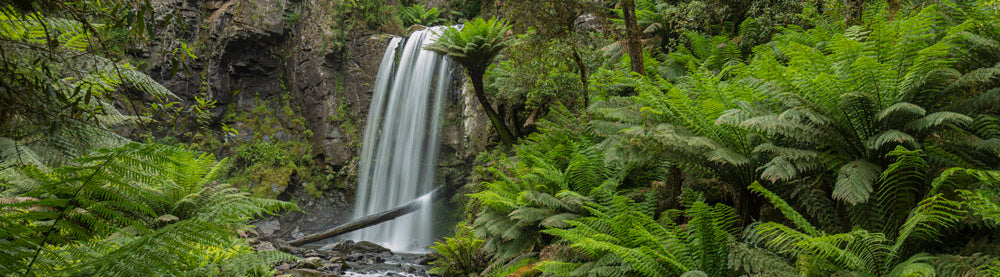 Wall Art Viewer Frames Render