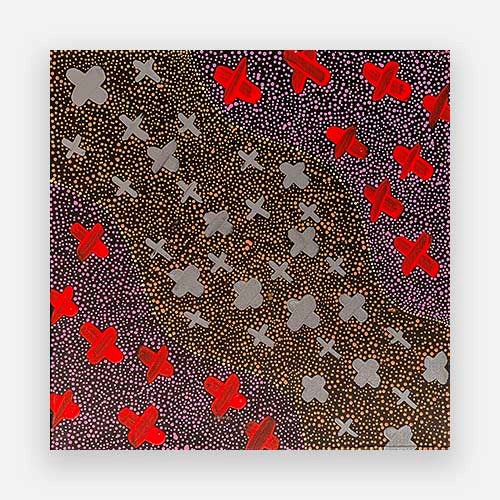 Ngatijirri Jukurrpa (Budgerigar Dreaming) 02