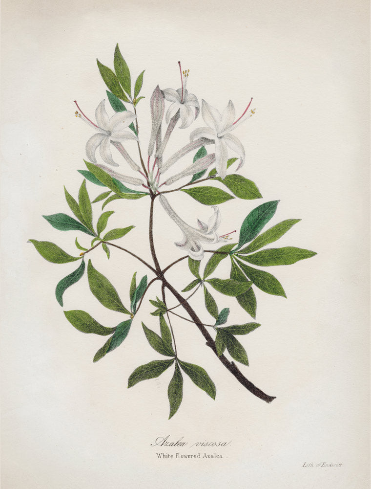 Wall Art Viewer Frames Render