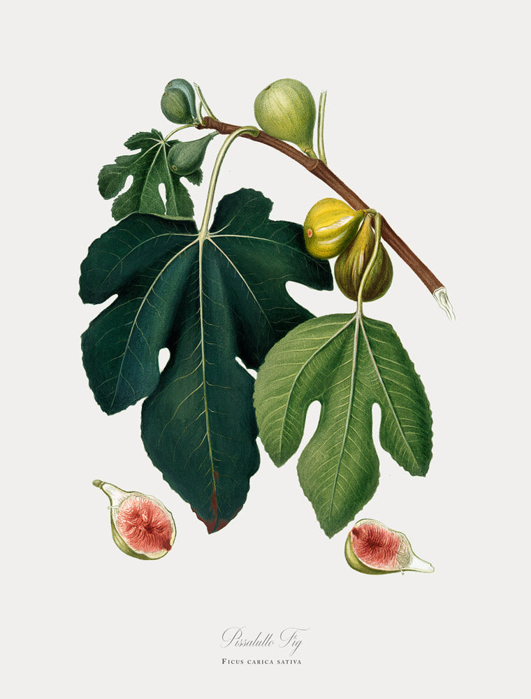 Wall Art Viewer Frames Render