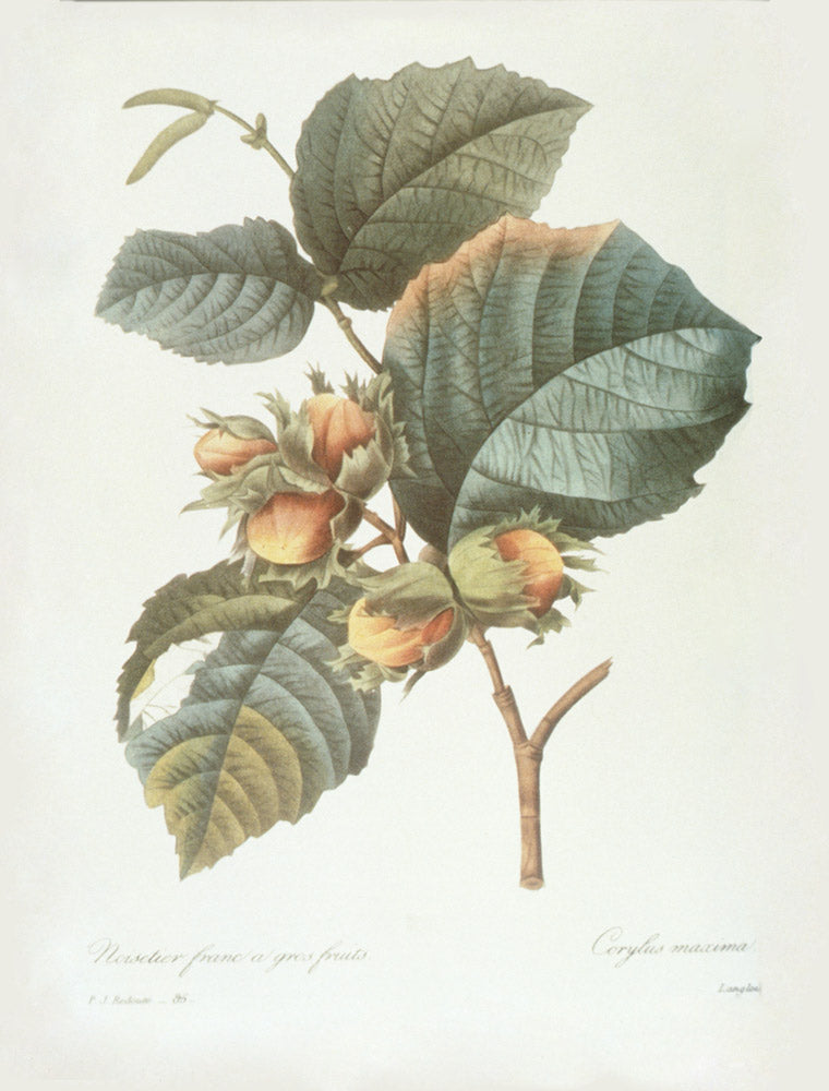 Wall Art Viewer Frames Render