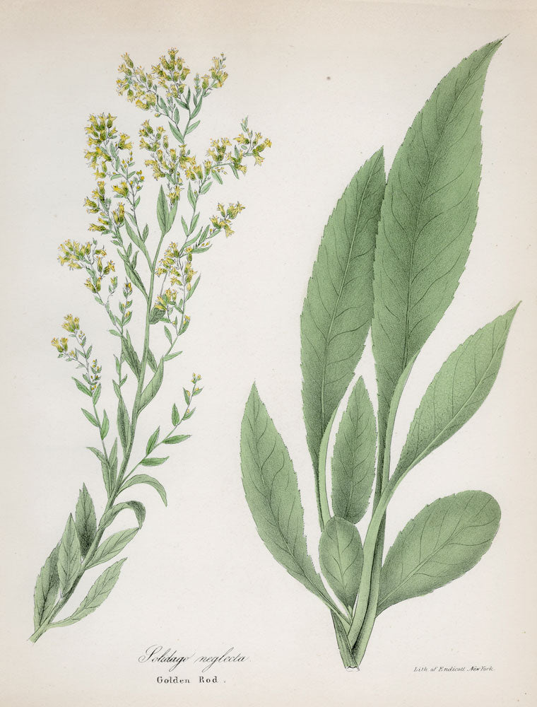 Wall Art Viewer Frames Render