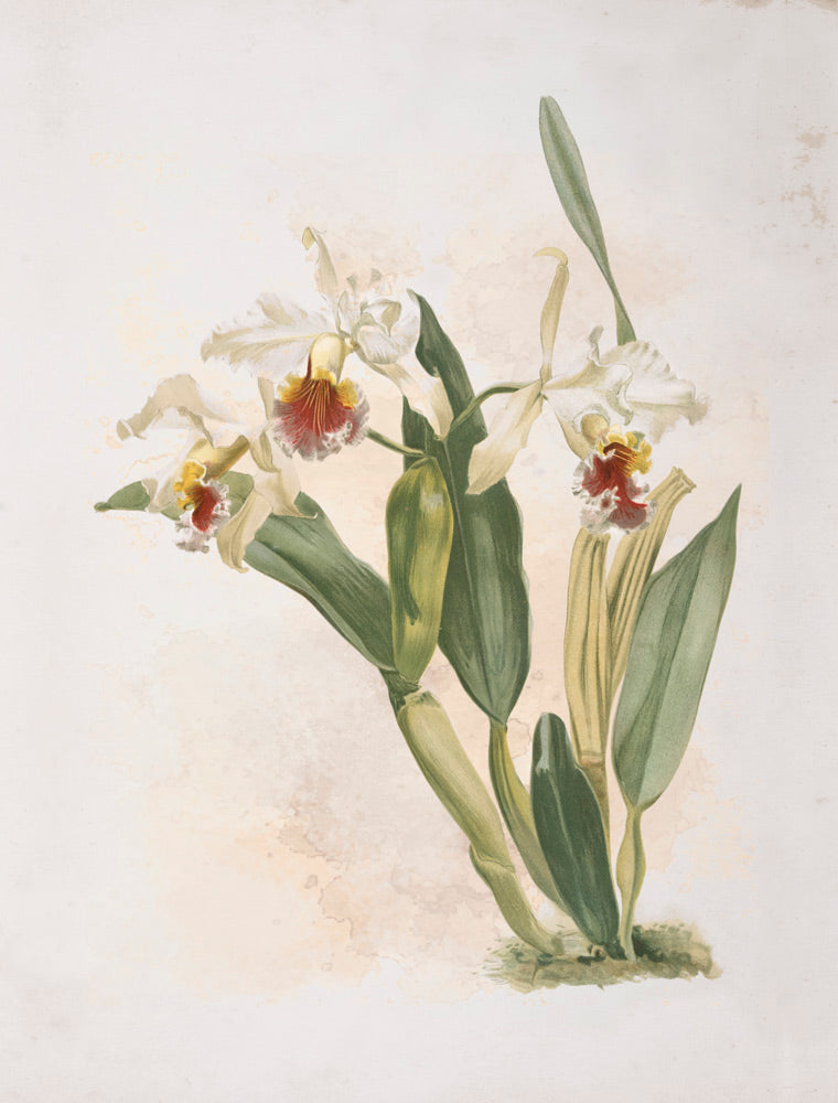 Wall Art Viewer Frames Render