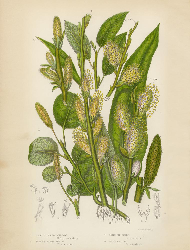 Wall Art Viewer Frames Render