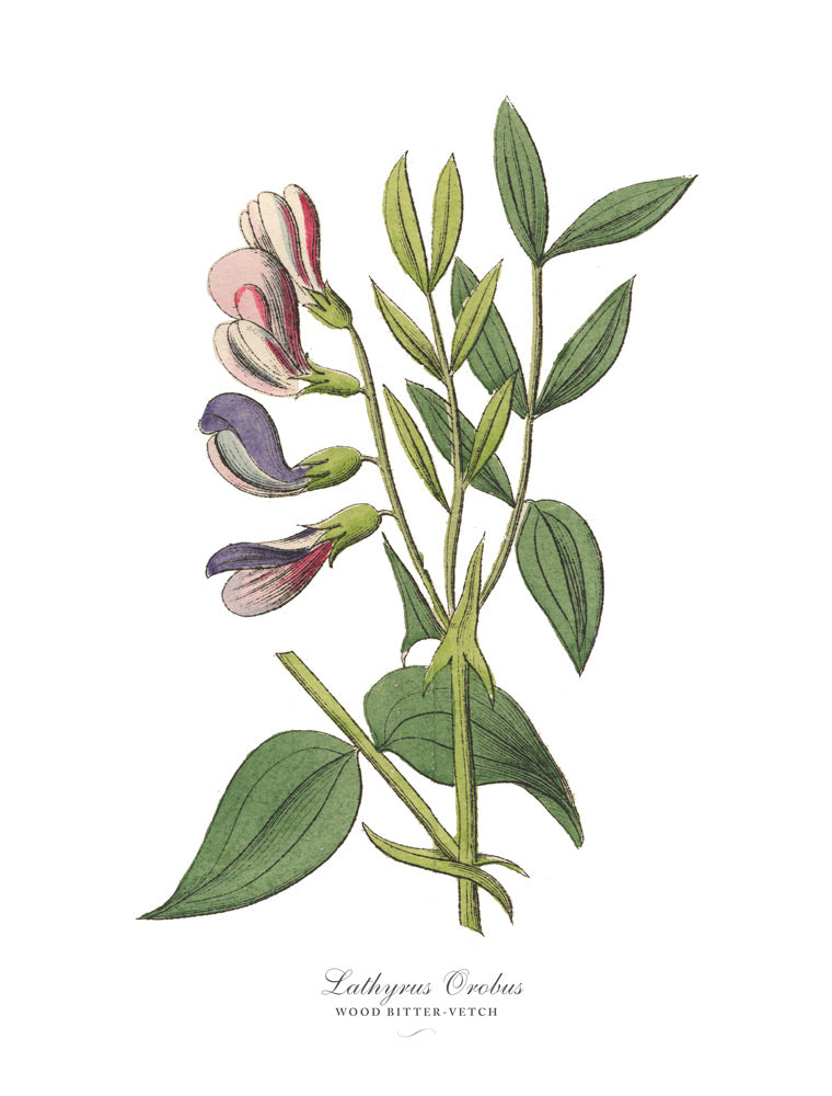 Wall Art Viewer Frames Render