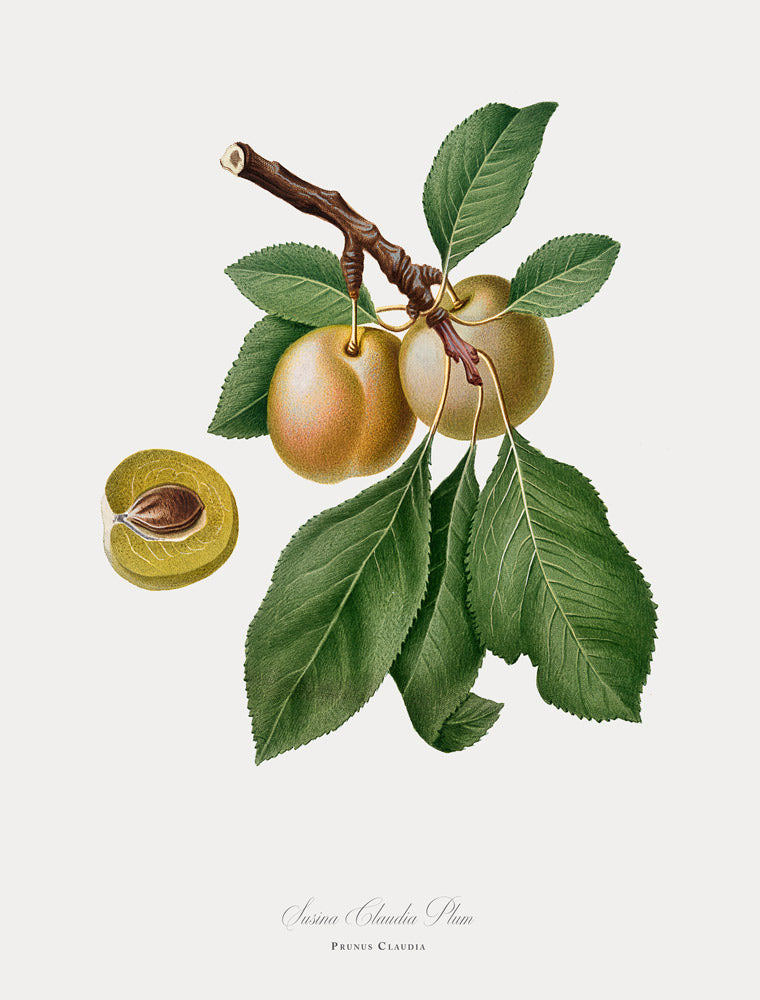 Wall Art Viewer Frames Render