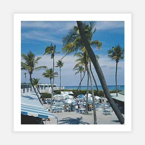 Florida Palms by Slim Aarons - FINEPRINT co