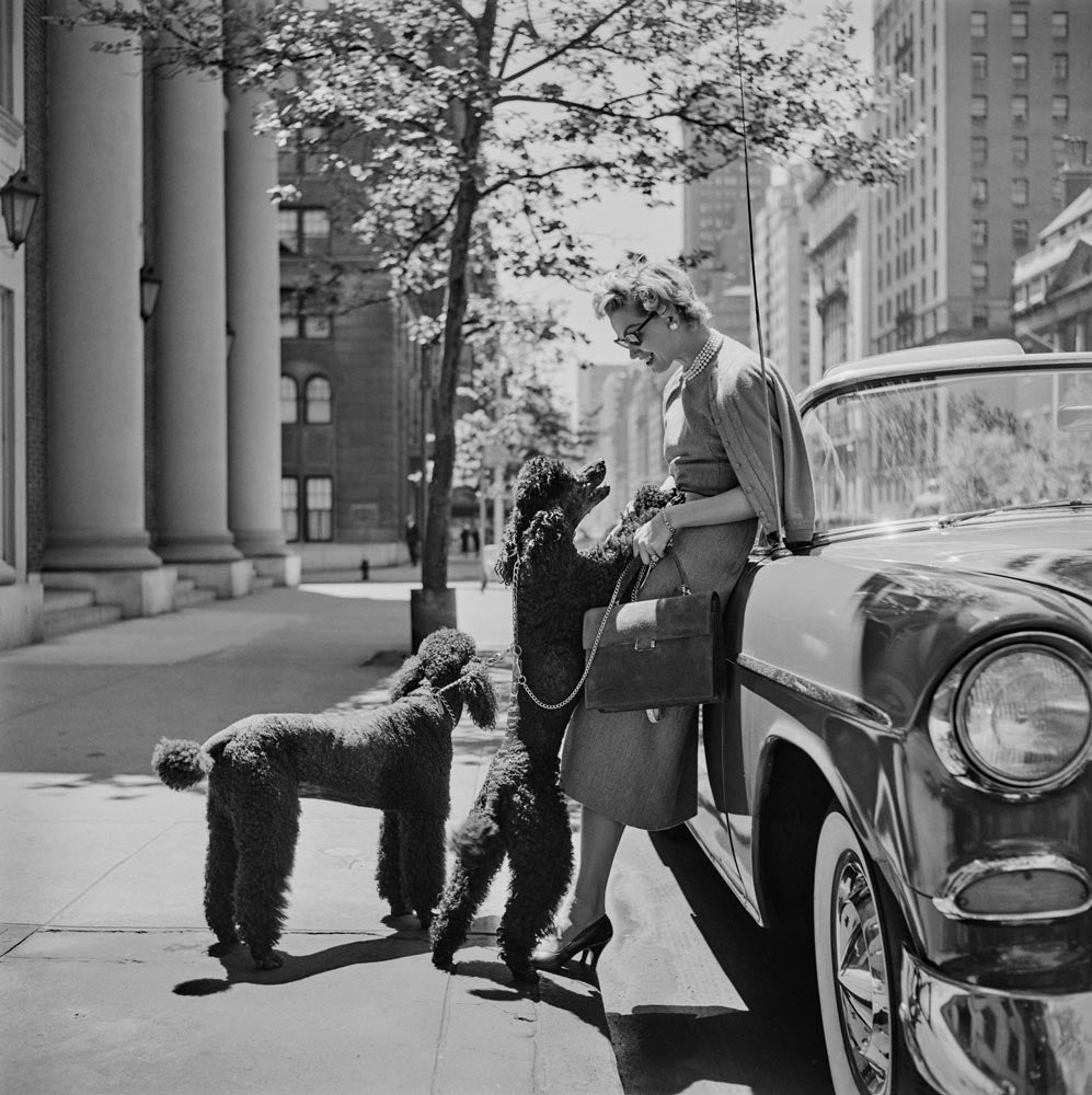 Wall Art Viewer Frames Render