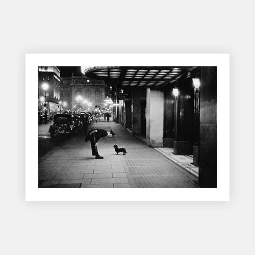 Commissionaire's Dog-Black & White Collection-Fine art print from FINEPRINT co