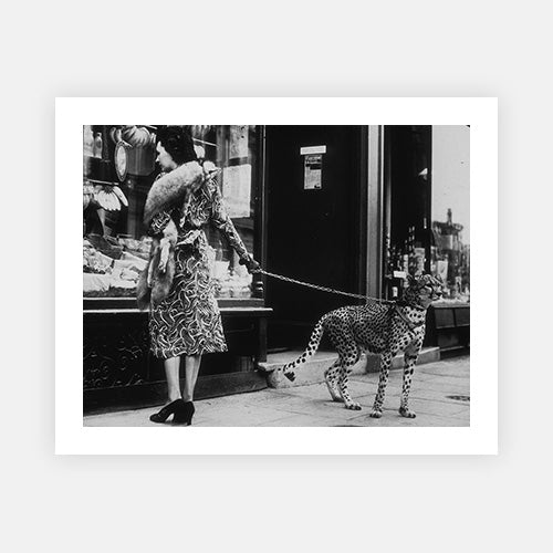 Cheetah Who Shops-Black & White Collection-Fine art print from FINEPRINT co