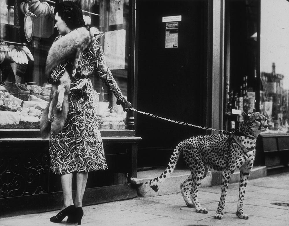 Cheetah Who Shops-Black & White Collection-Fine art print from FINEPRINT co
