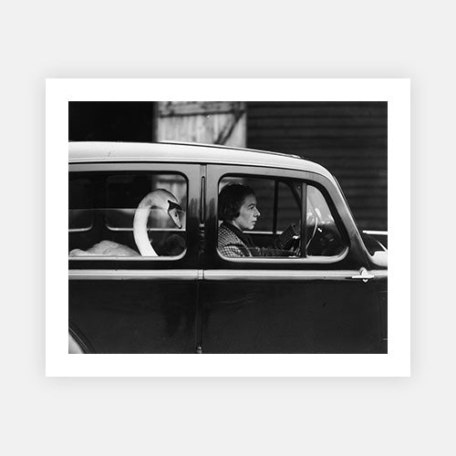 Swan In A Car-Black & White Collection-Fine art print from FINEPRINT co